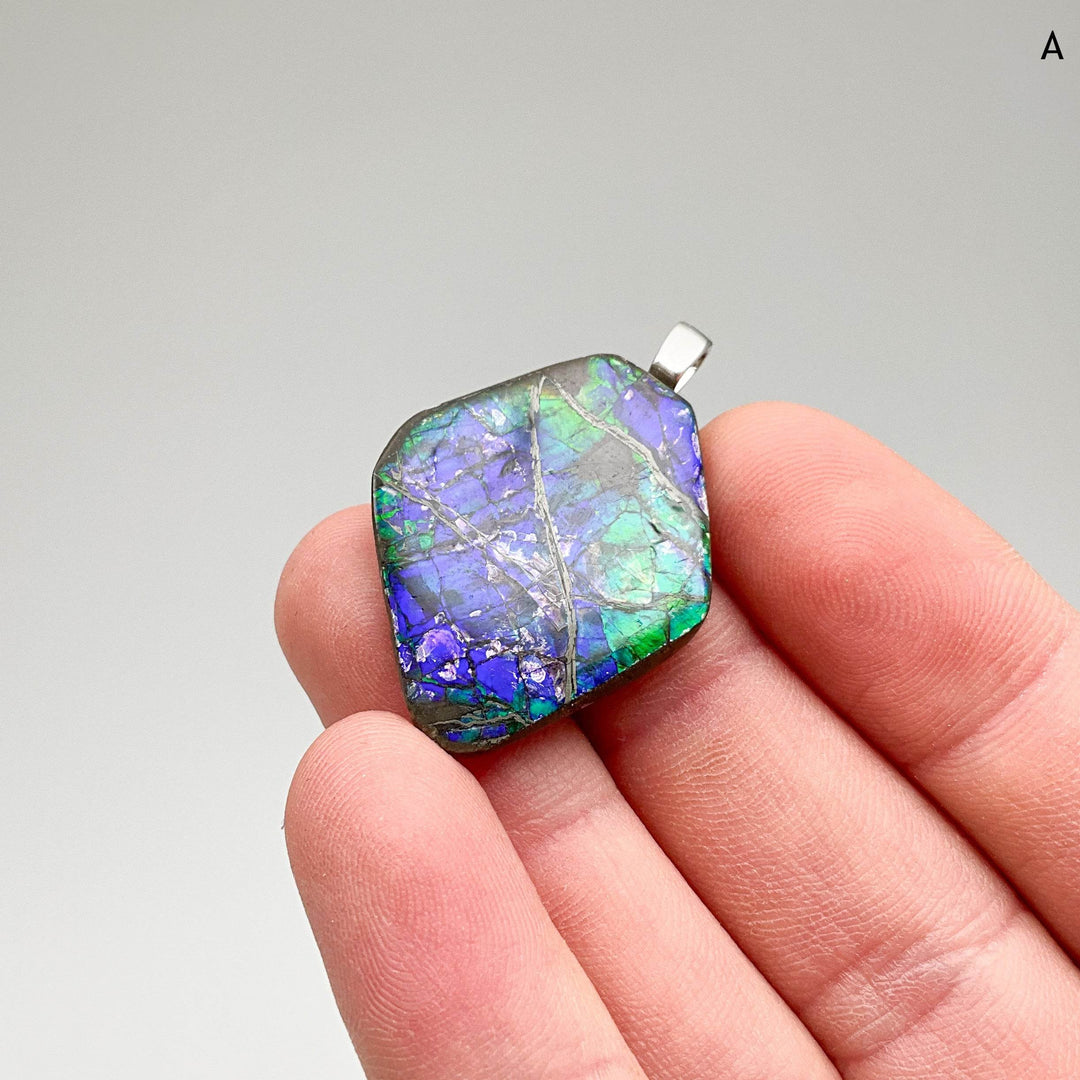 Alberta Ammolite Pendant-Rocks and Gems Canada
