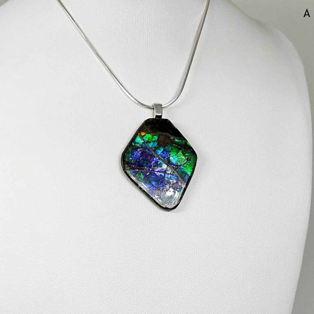 Alberta Ammolite Pendant-Rocks and Gems Canada