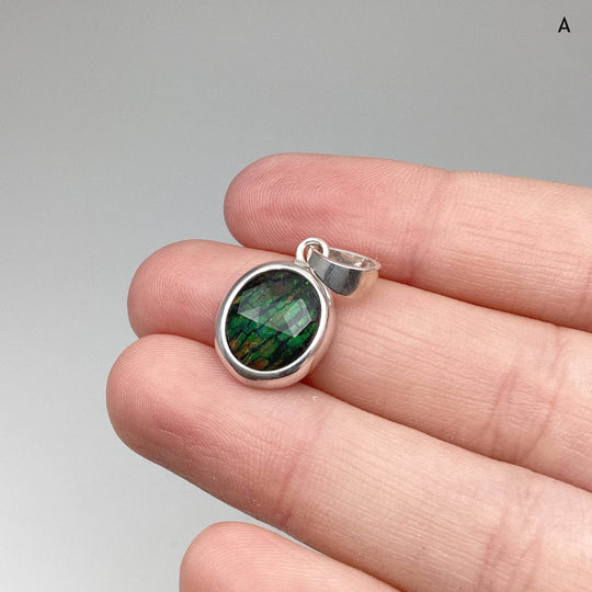 Alberta Ammolite Pendant-Rocks and Gems Canada