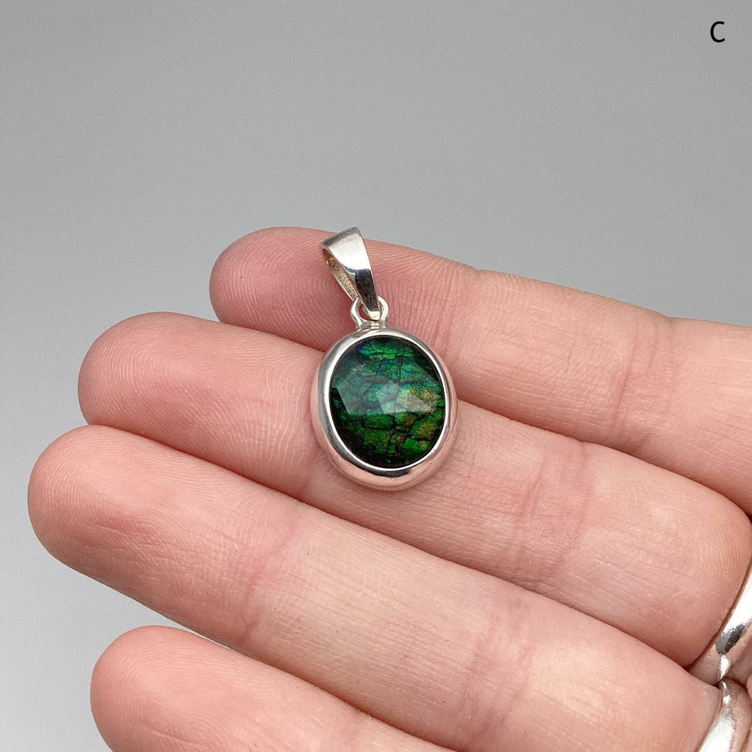 Alberta Ammolite Pendant-Rocks and Gems Canada