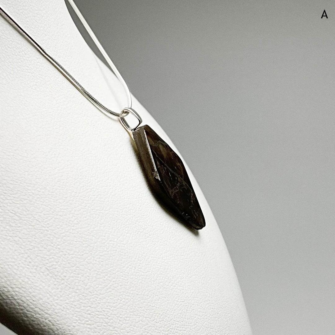 Alberta Ammolite Pendant-Rocks and Gems Canada