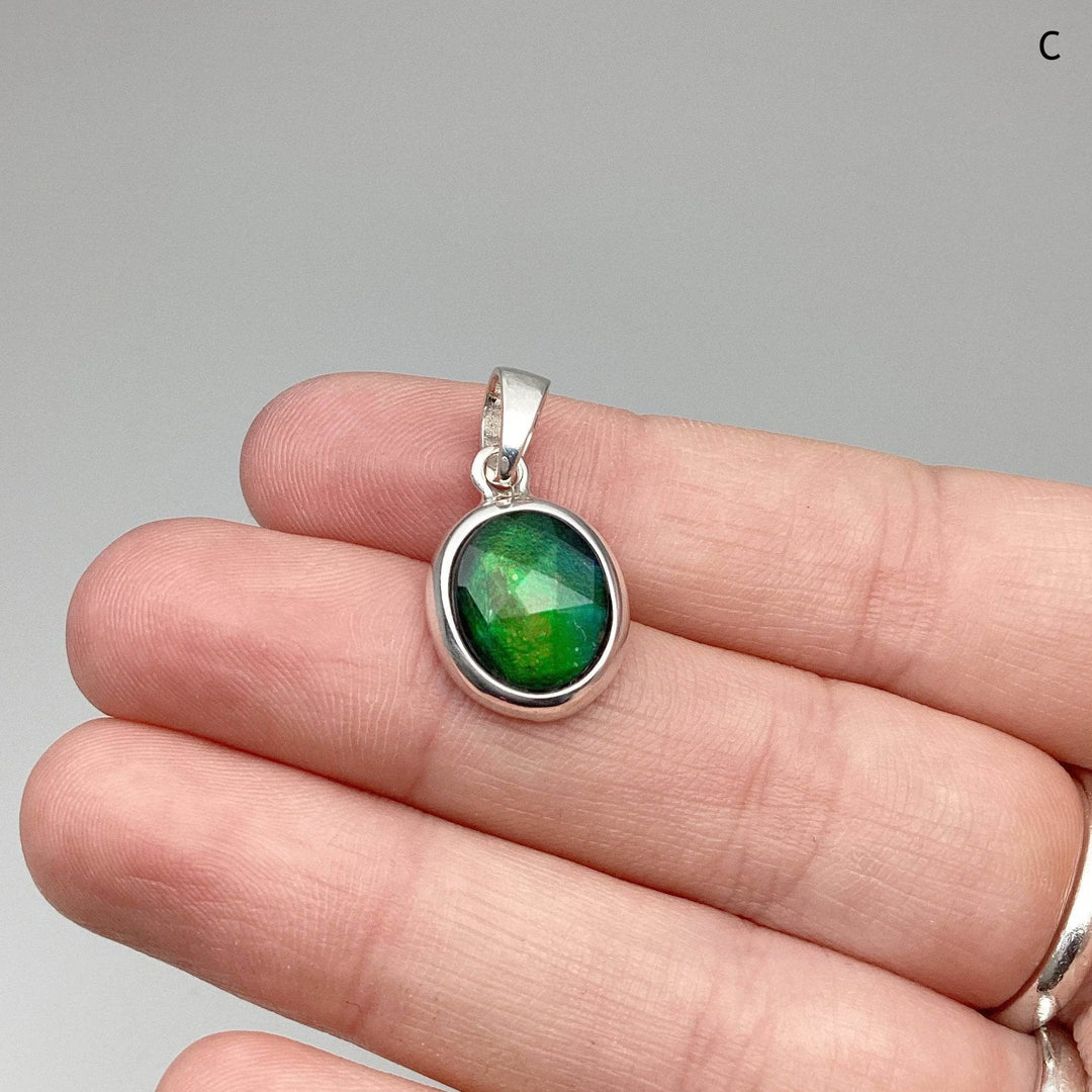 Alberta Ammolite Pendant-Rocks and Gems Canada