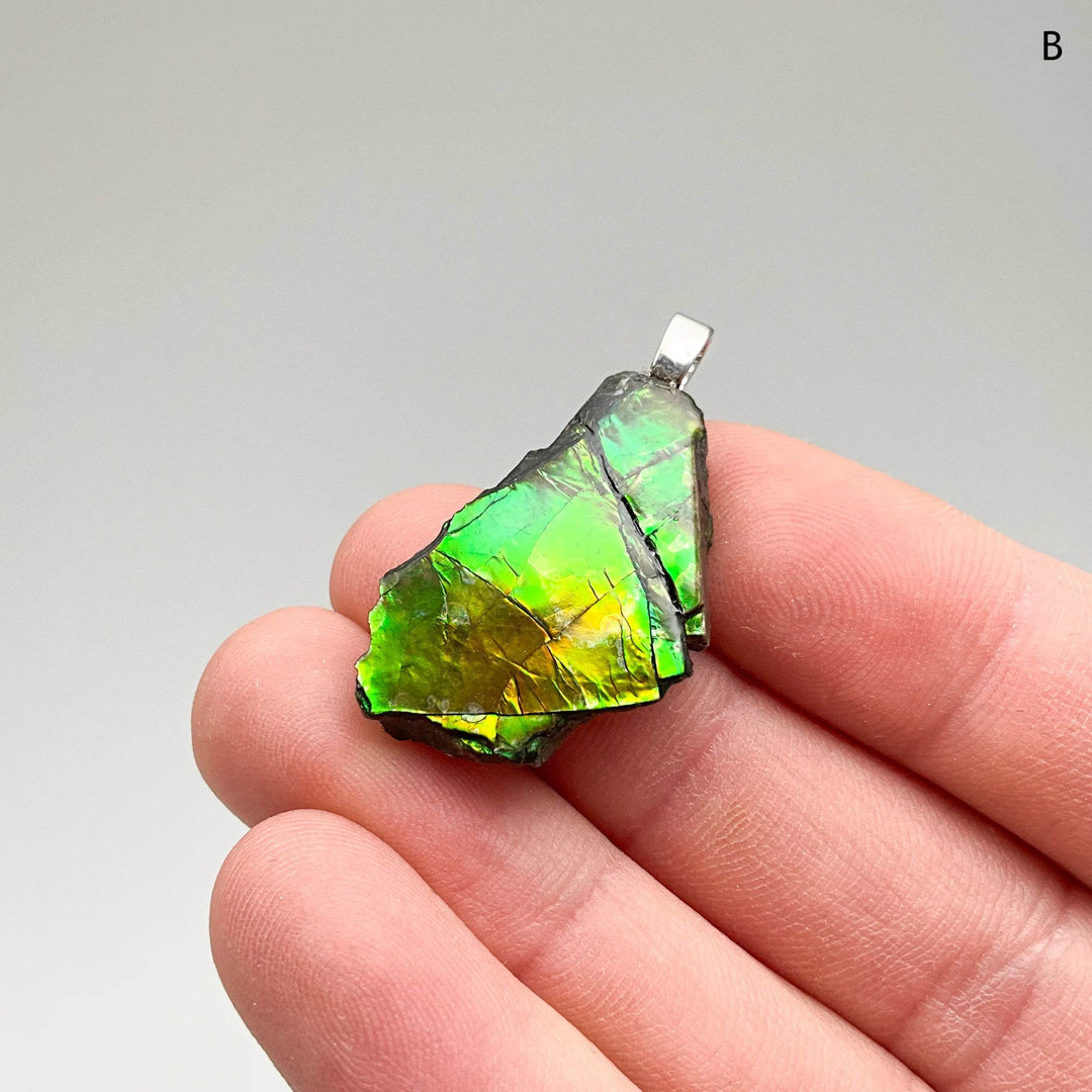 Alberta Ammolite Pendant-Rocks and Gems Canada