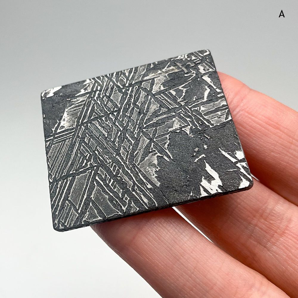 Aletai Meteorite Slice-Rocks and Gems Canada