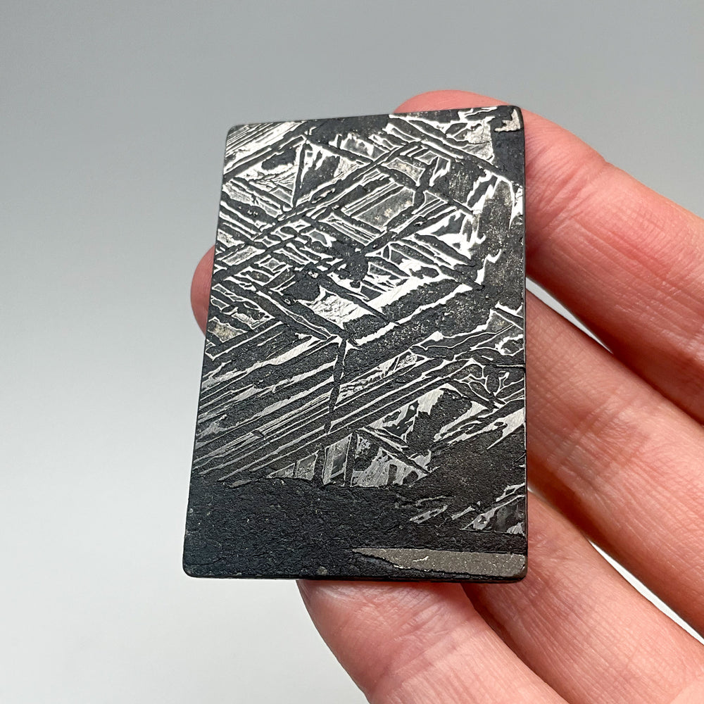 Aletai Meteorite Slice-Rocks and Gems Canada