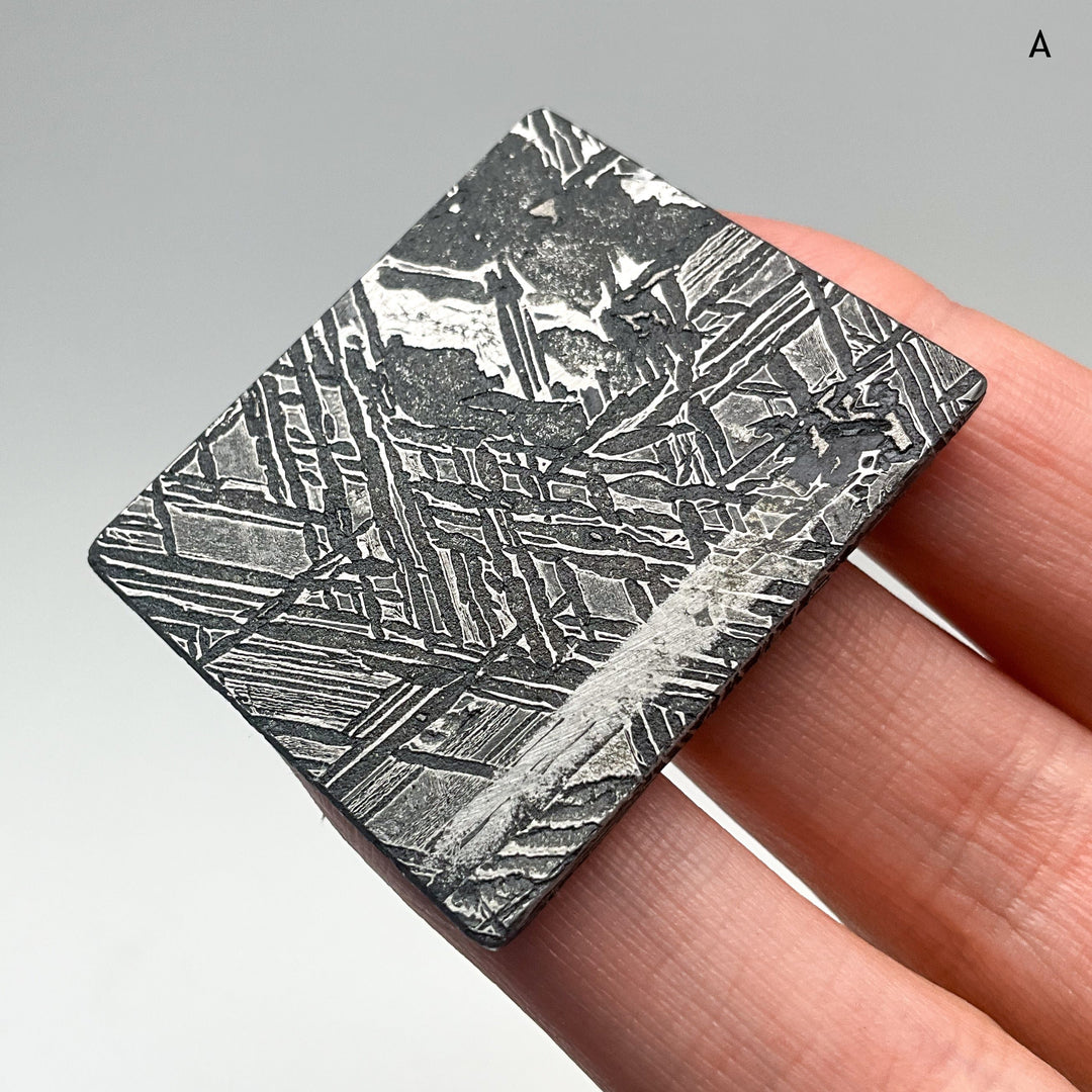 Aletai Meteorite Slice-Rocks and Gems Canada