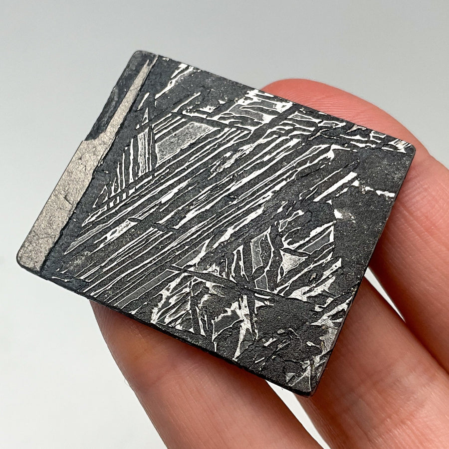 Aletai Meteorite Slice-Rocks and Gems Canada