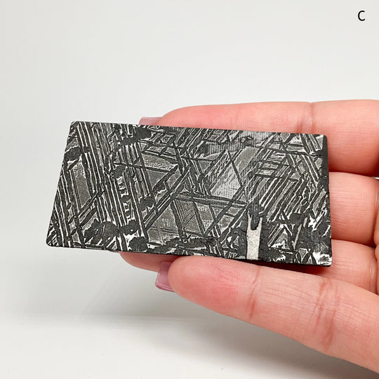 Aletai Meteorite Slice - Rocks and Gems Canada