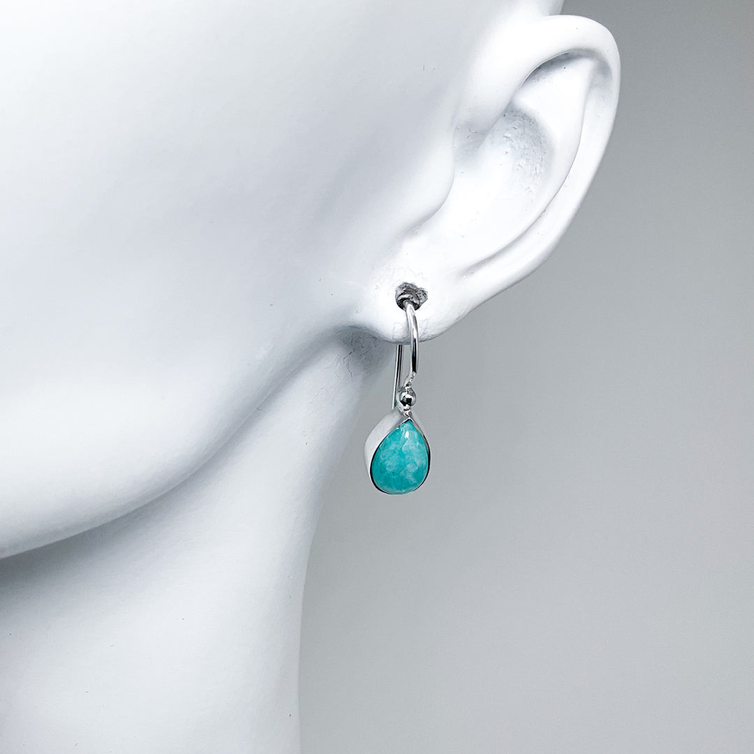 Amazonite Dangle Earrings-Rocks and Gems Canada