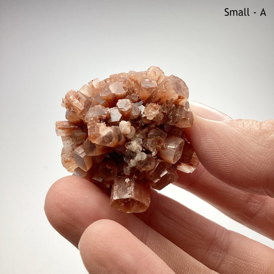 Aragonite Specimen - Rocks and Gems Canada