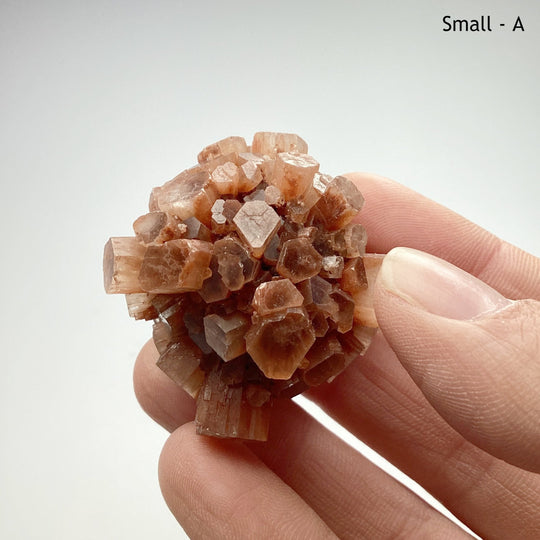 Aragonite Specimen - Rocks and Gems Canada