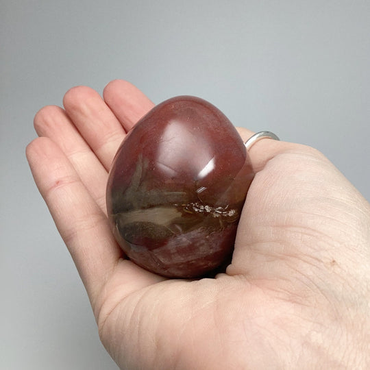 Araucaria Petrified Wood Egg - Rocks and Gems Canada