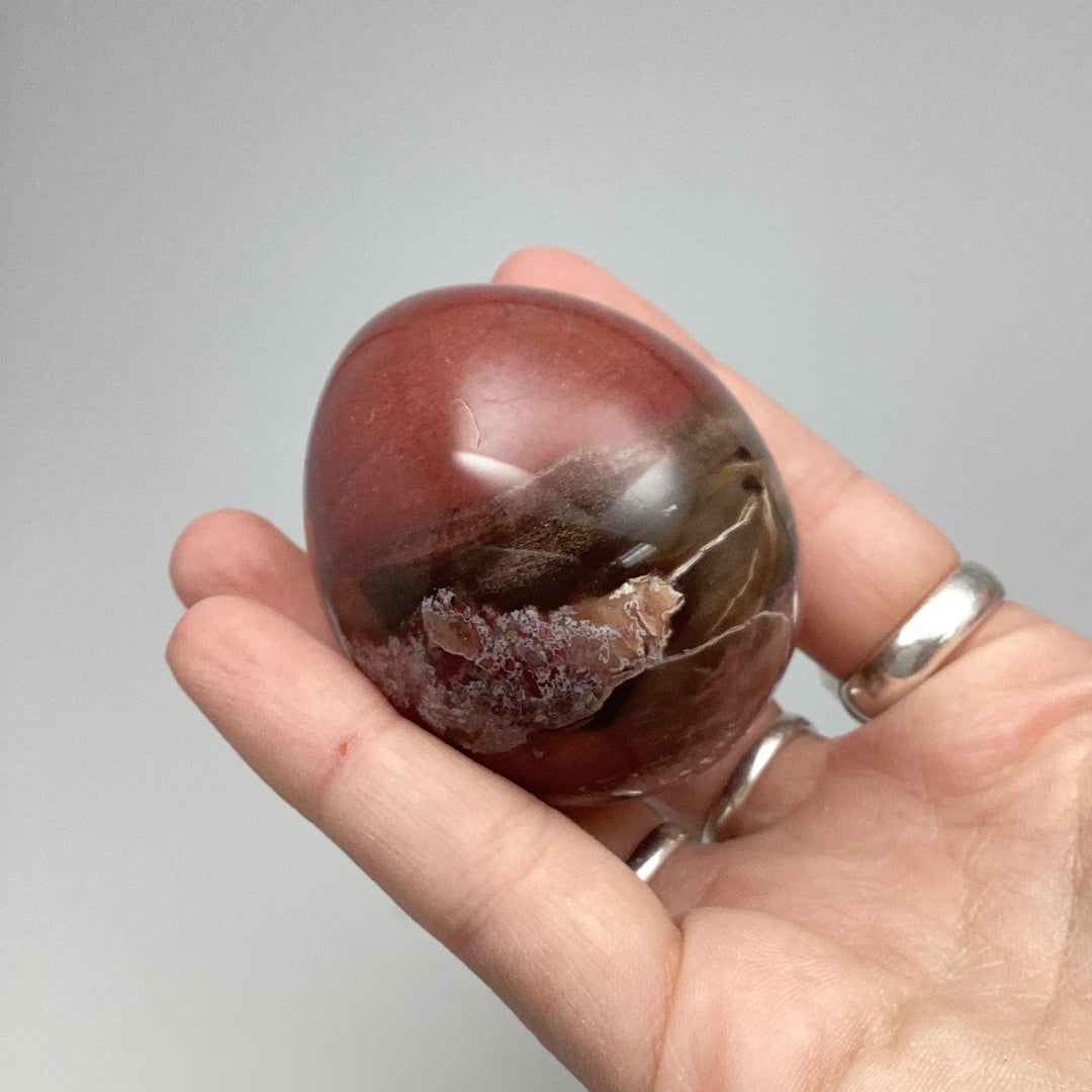 Araucaria Petrified Wood Egg - Rocks and Gems Canada