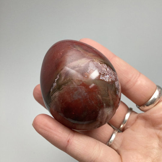 Araucaria Petrified Wood Egg - Rocks and Gems Canada