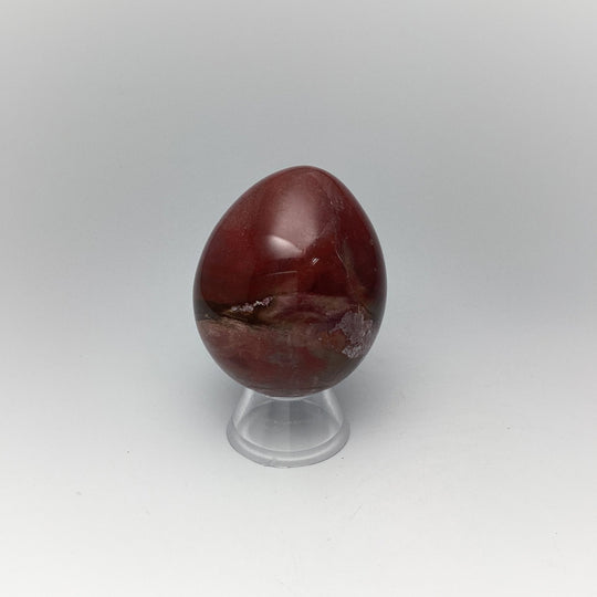 Araucaria Petrified Wood Egg - Rocks and Gems Canada