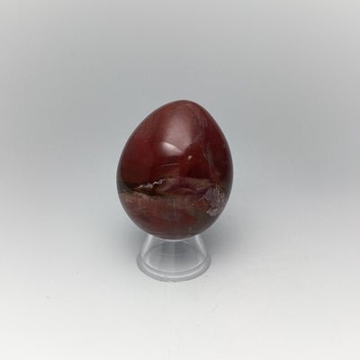 Araucaria Petrified Wood Egg