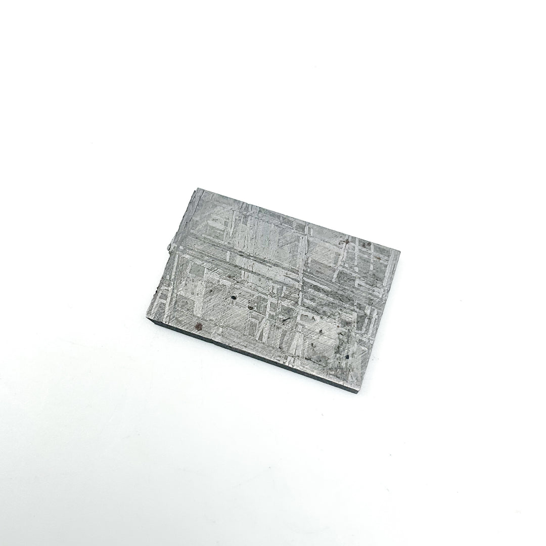 Muonionalusta Meteorite Slice