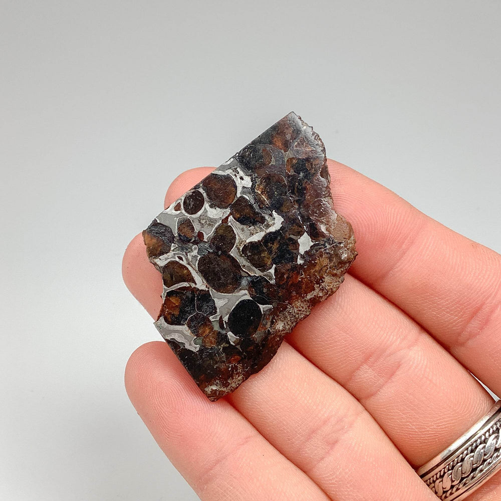 Sericho Meteorite Slice - Rocks and Gems Canada