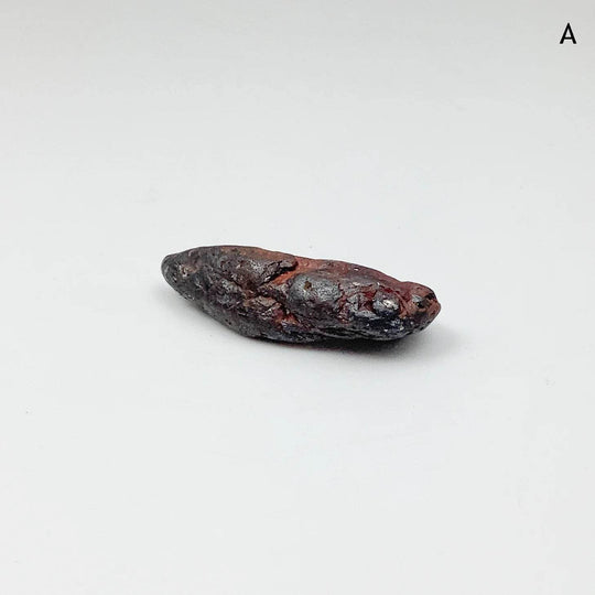 Uruacu Meteorite - Rocks and Gems Canada