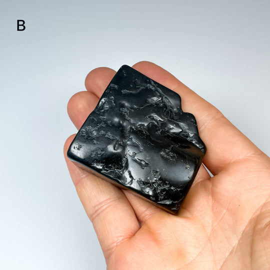 Shungite Slice - Rocks and Gems Canada