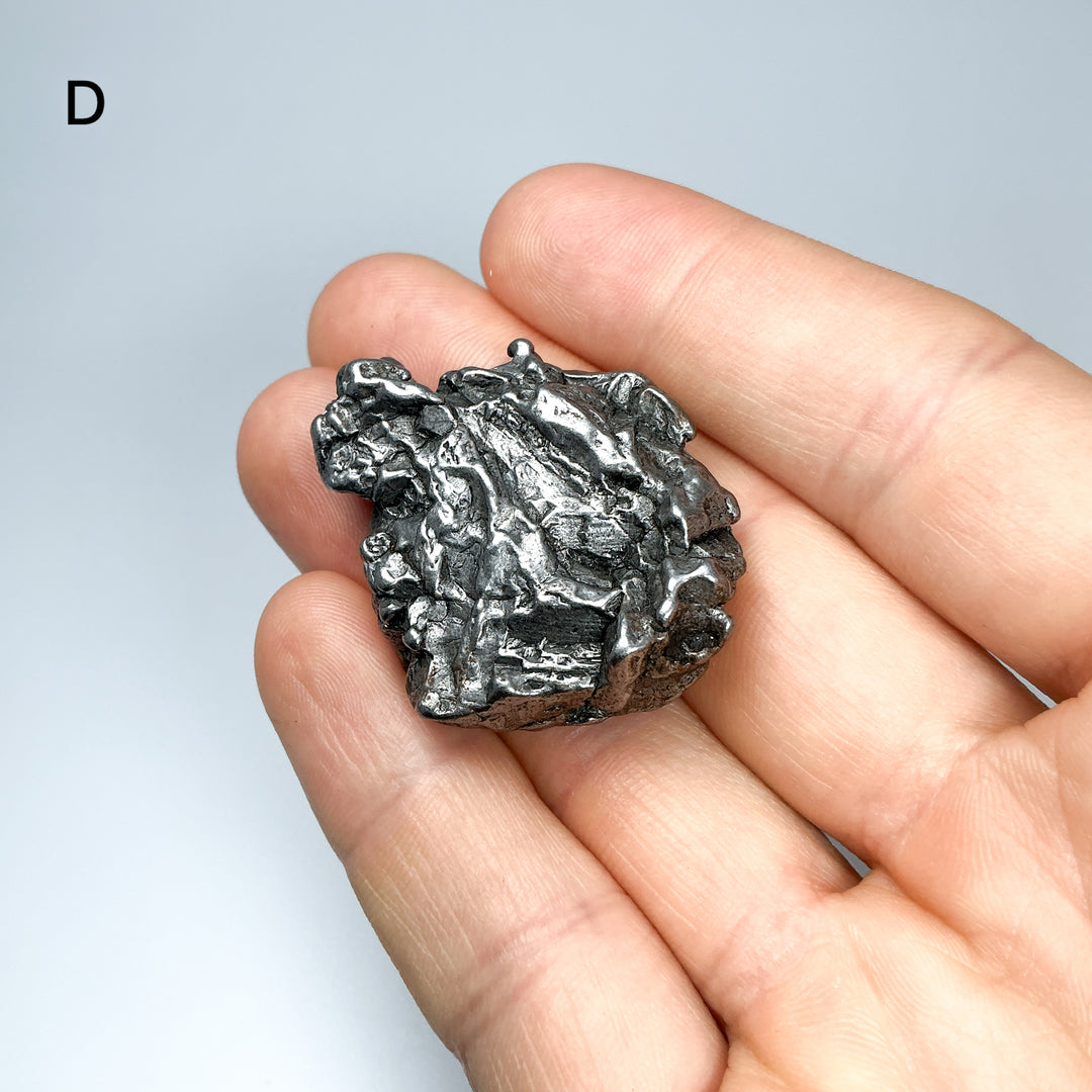 Campo Del Cielo Meteorite