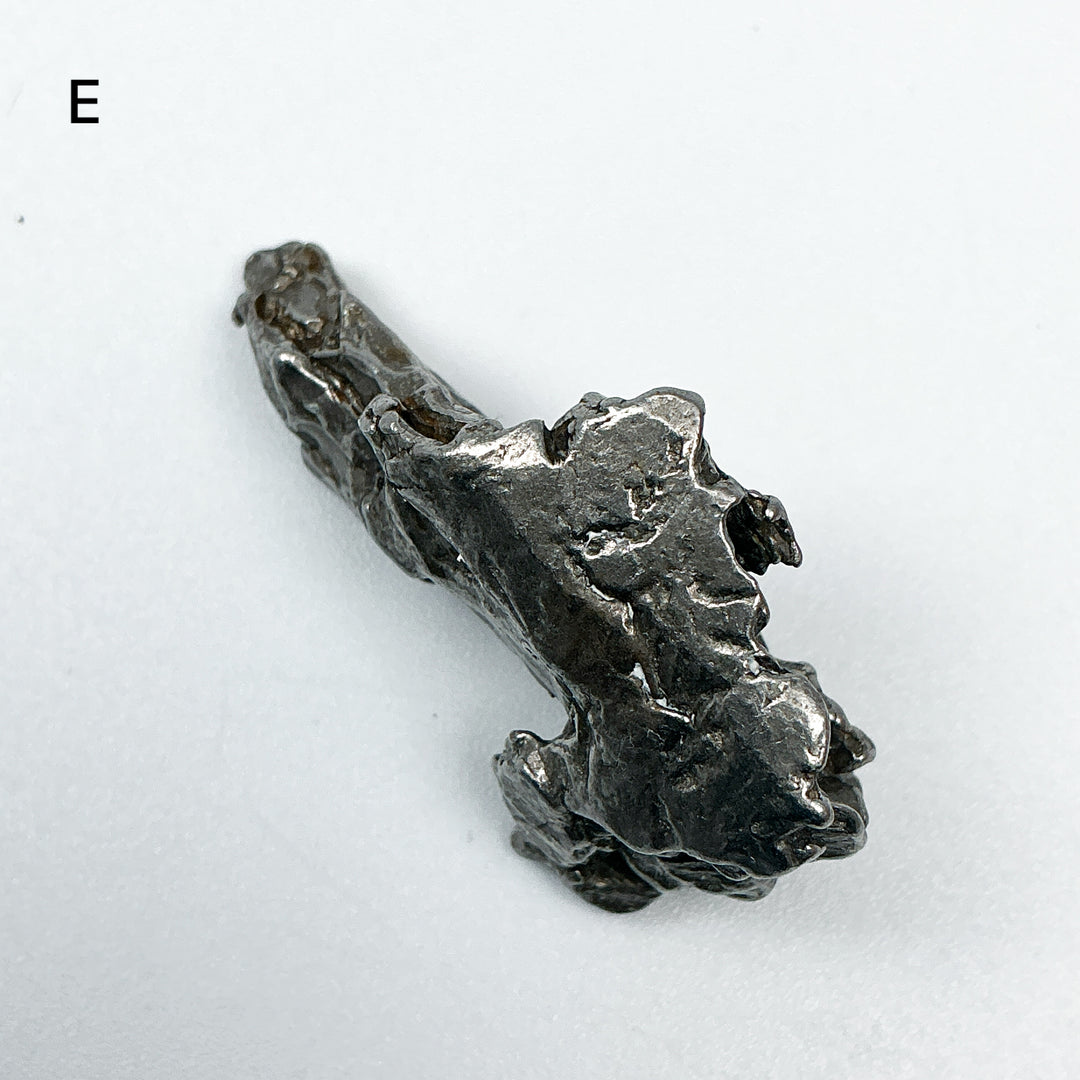 Campo Del Cielo Meteorite