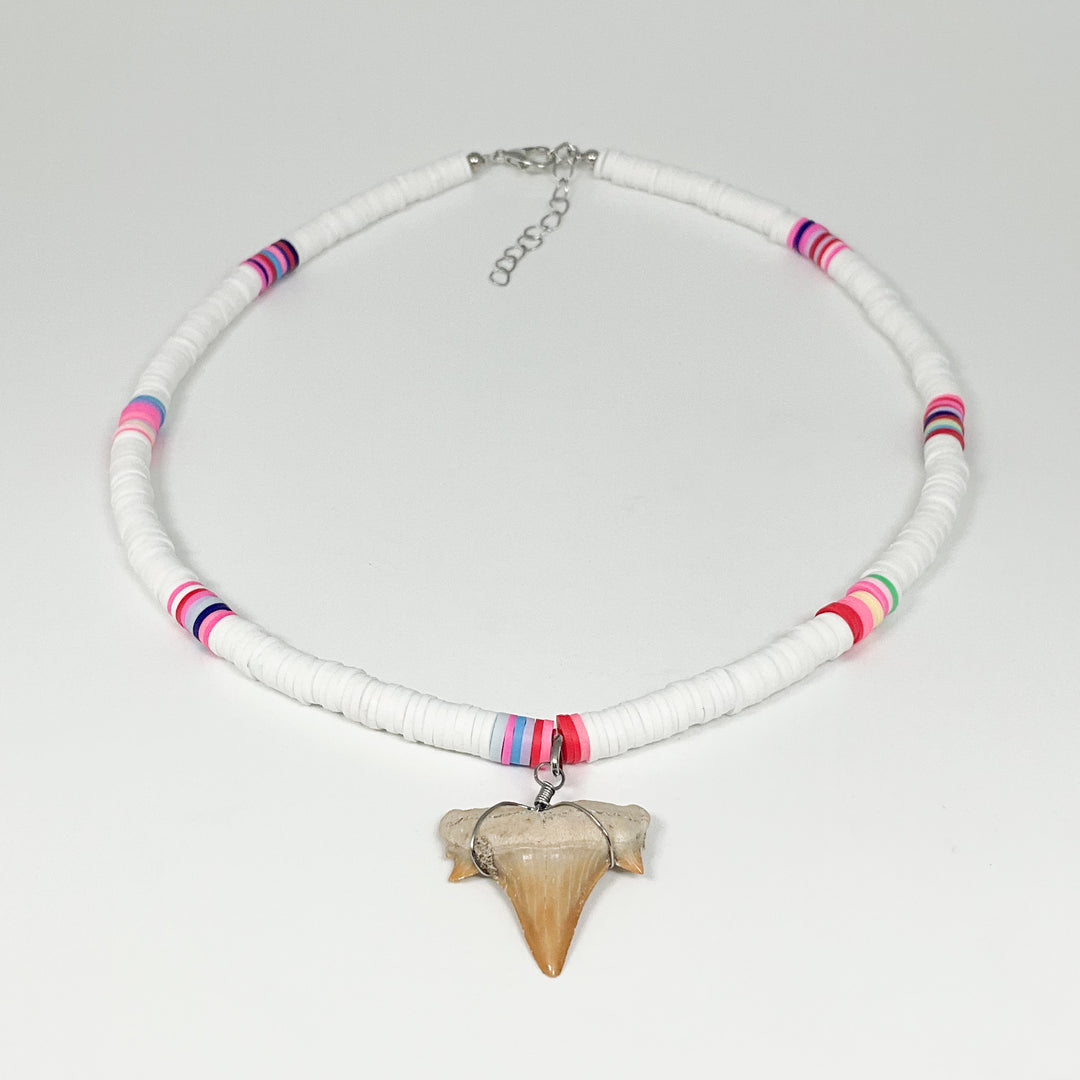 Fossilized Shark Tooth Necklace - Rocks and Gems Canada