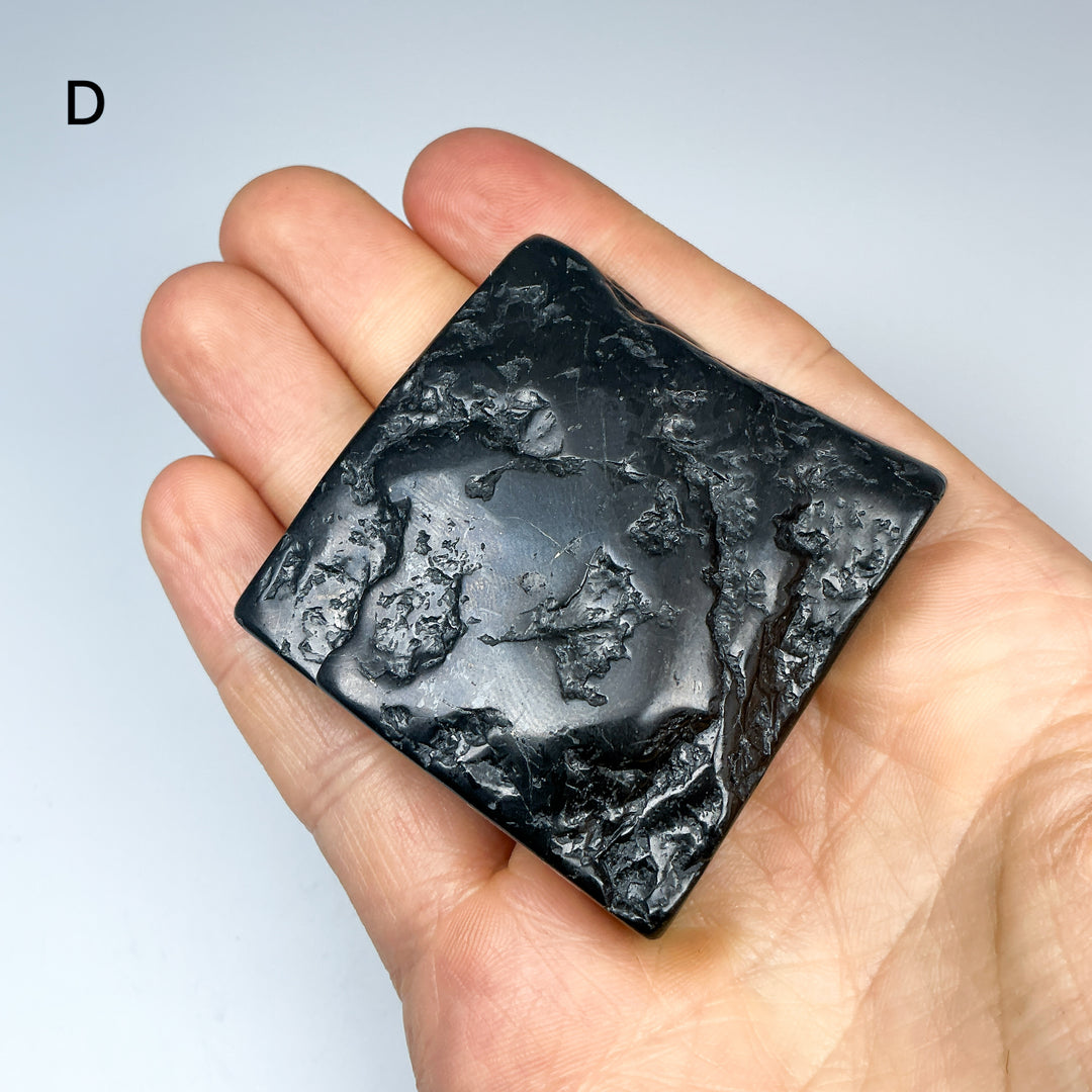 Shungite Slice - Rocks and Gems Canada