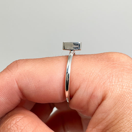 Muonionalusta Meteorite Ring - Rocks and Gems Canada