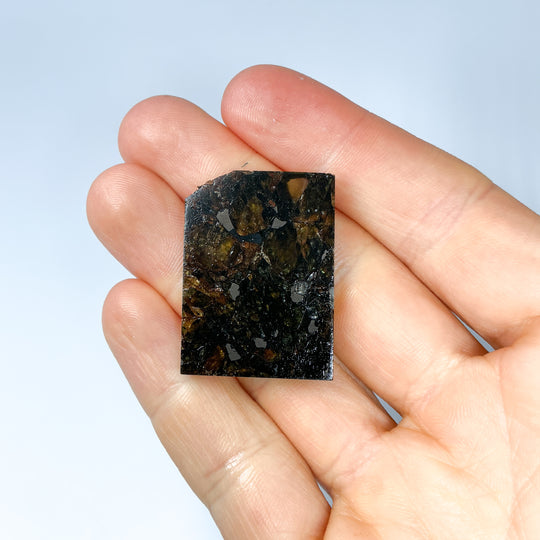 Admire Meteorite Slice - Rocks and Gems Canada