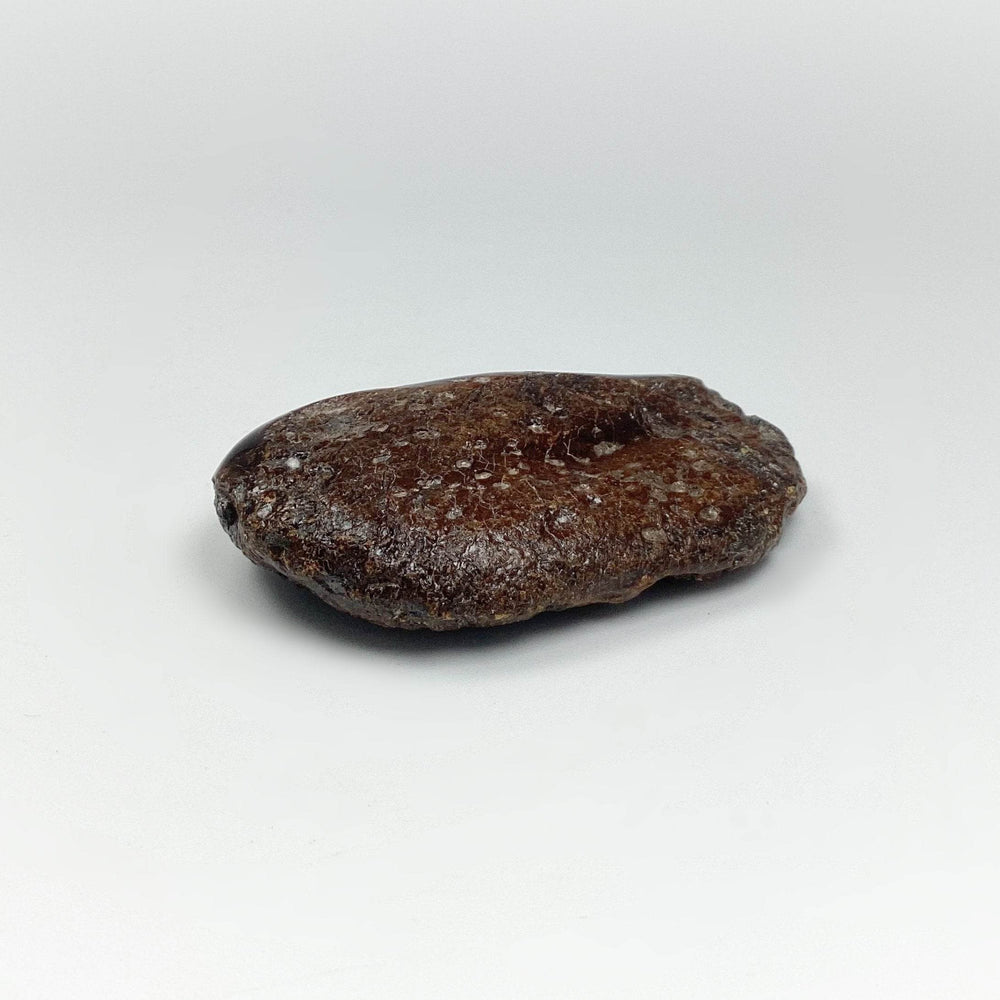 Blue Amber Specimen-Rocks and Gems Canada