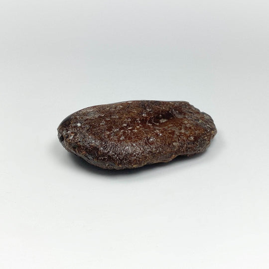 Blue Amber Specimen-Rocks and Gems Canada