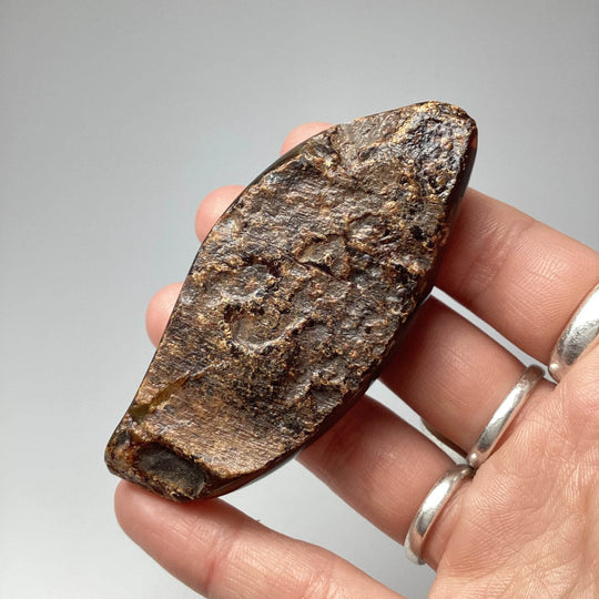 Blue Amber Specimen-Rocks and Gems Canada
