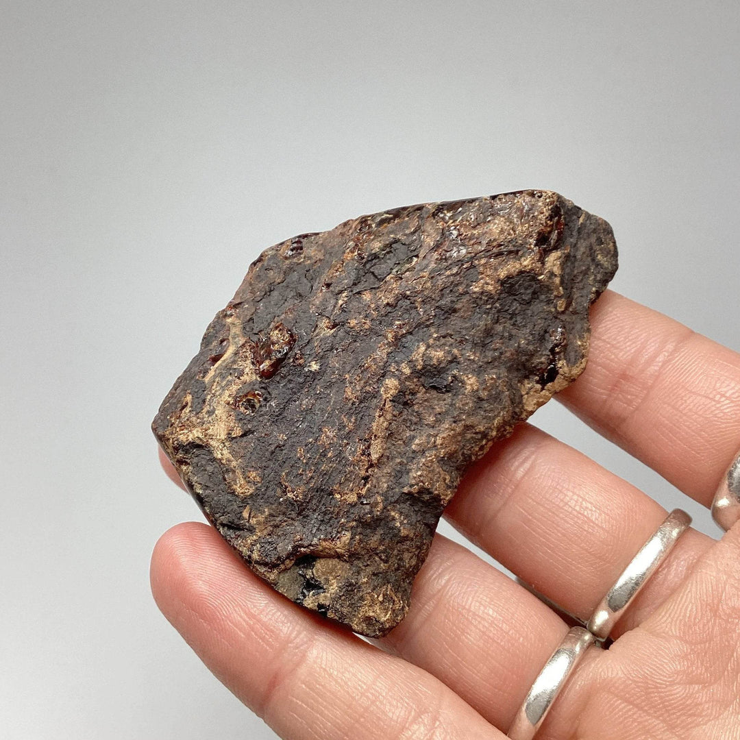 Blue Amber Specimen-Rocks and Gems Canada