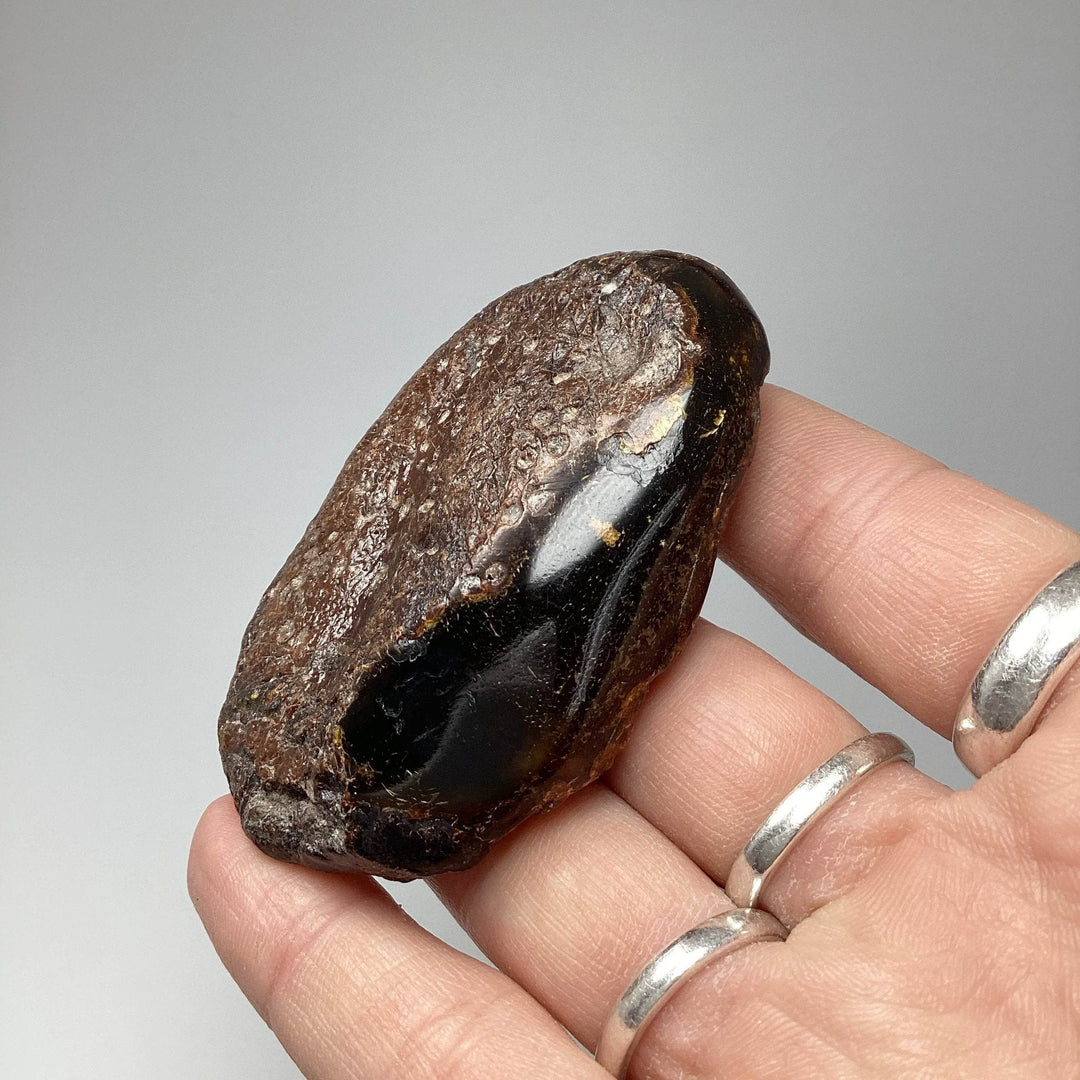 Blue Amber Specimen-Rocks and Gems Canada
