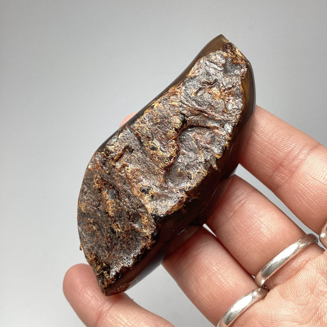 Blue Amber Specimen-Rocks and Gems Canada
