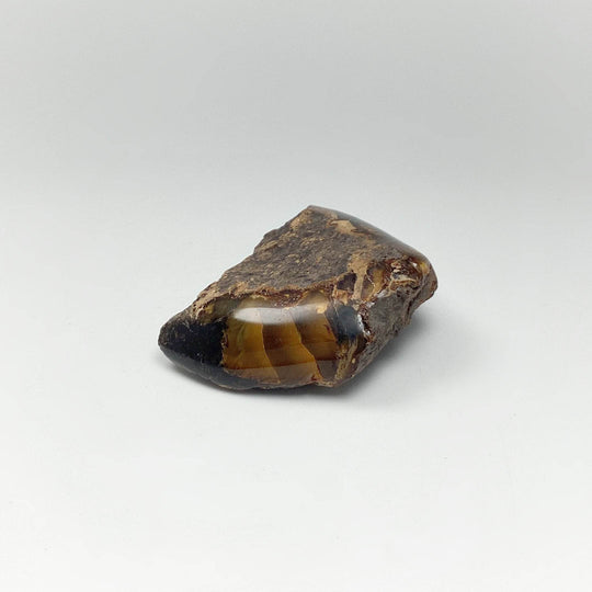 Blue Amber Specimen-Rocks and Gems Canada