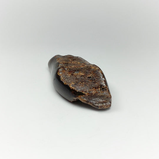Blue Amber Specimen