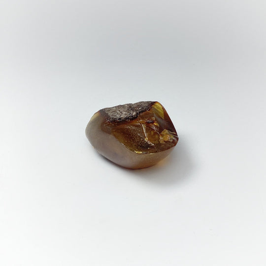 Blue Amber Specimen - Rocks and Gems Canada