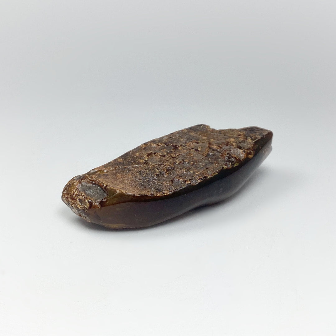 Blue Amber Specimen