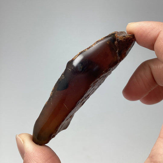 Blue Amber Specimen