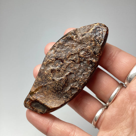 Blue Amber Specimen
