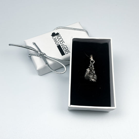 Campo Del Cielo Meteorite Pendant