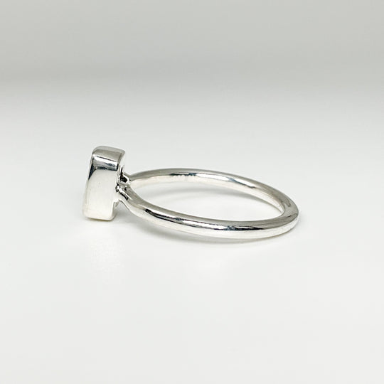 Muonionalusta Meteorite Ring - Rocks and Gems Canada