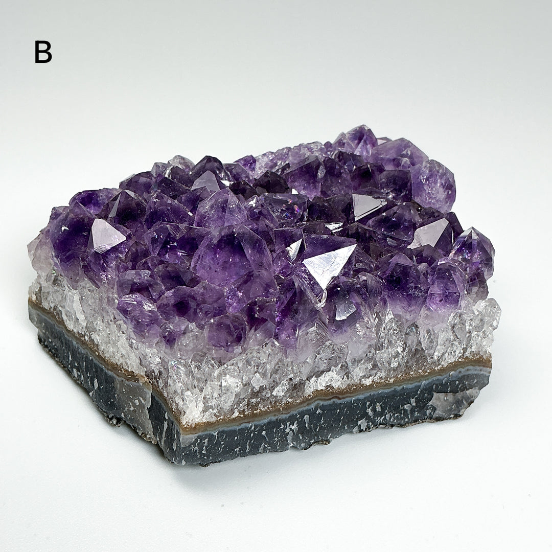 Amethyst Druze Cluster