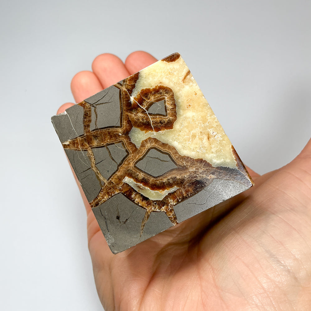 Septarian Cube