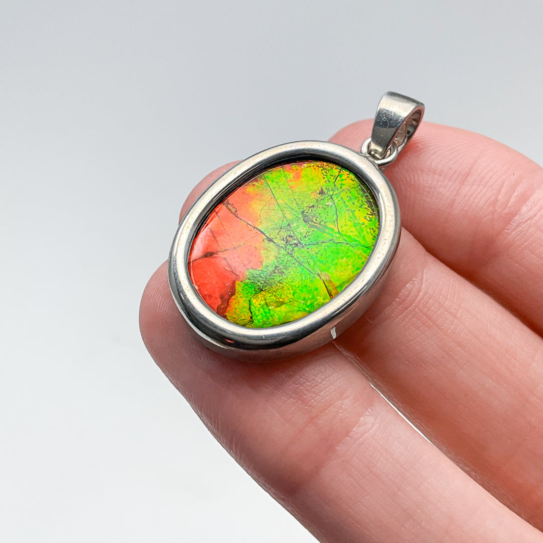 Alberta Ammolite Pendant