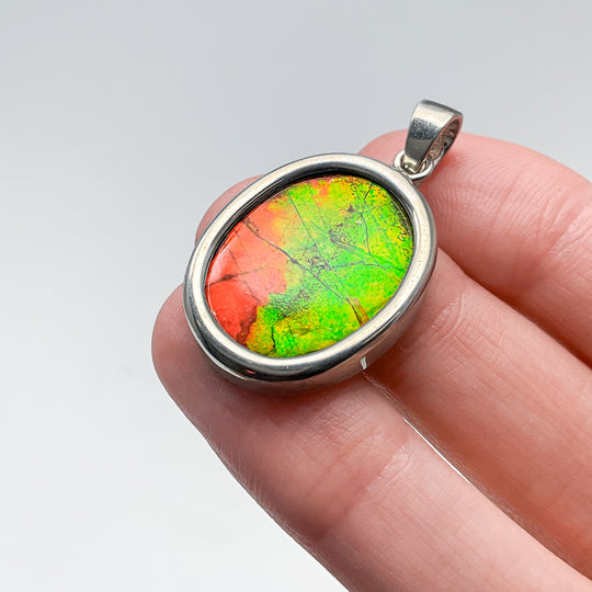 Alberta Ammolite Pendant
