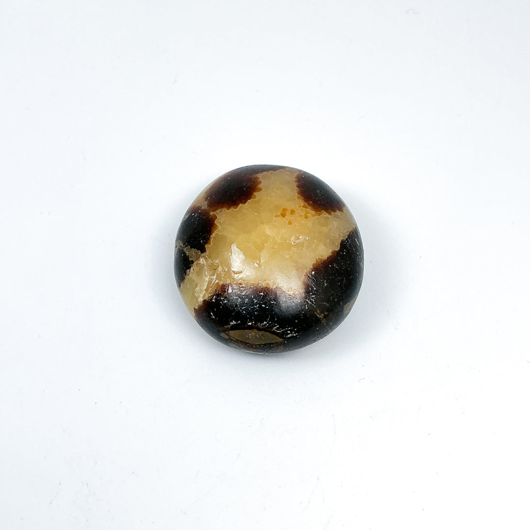 Septarian Tumble - Rocks and Gems Canada