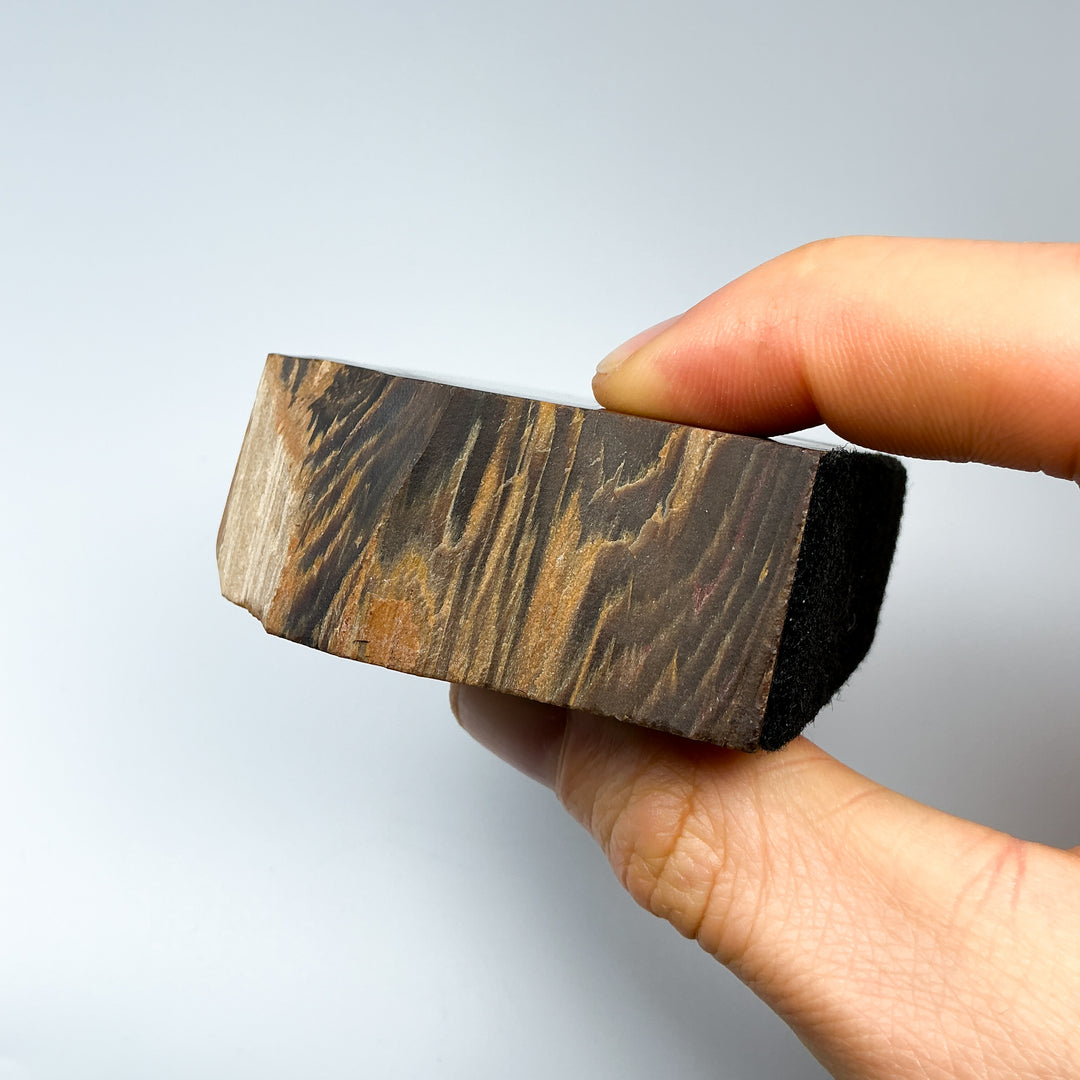 Petrified Wood Stand Up - Rocks and Gems Canada